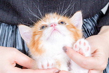 baby-フォトギャラリー