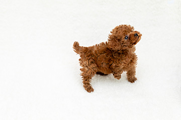 baby-フォトギャラリー