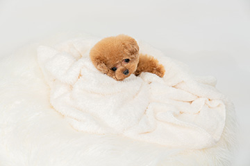 baby-フォトギャラリー