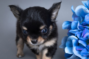 baby-フォトギャラリー