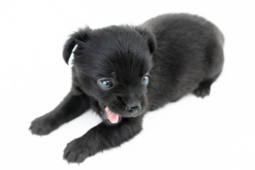 baby-フォトギャラリー