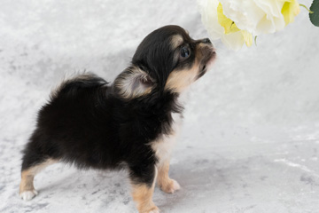 baby-フォトギャラリー