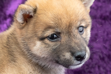 baby-フォトギャラリー