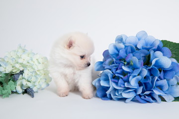 baby-フォトギャラリー