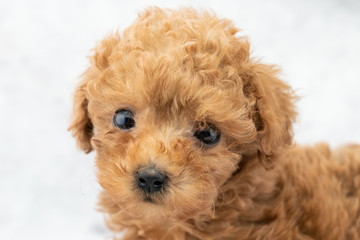 baby-フォトギャラリー