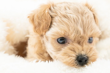 baby-フォトギャラリー