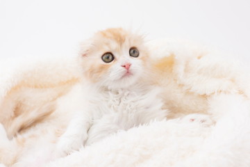 baby-フォトギャラリー