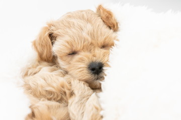 baby-フォトギャラリー