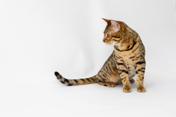 stylish-フォトギャラリー