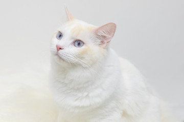 stylish-フォトギャラリー