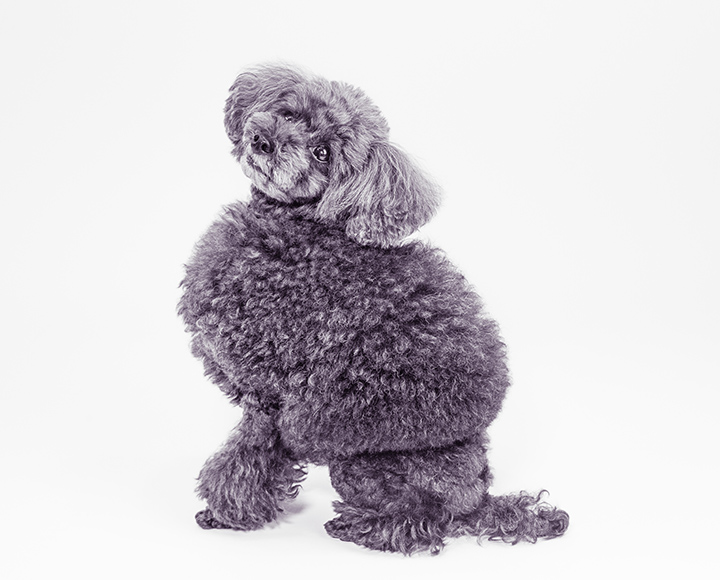 ギャラリーフォト