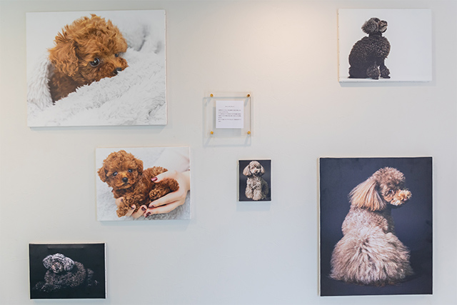 キャンバスプリント