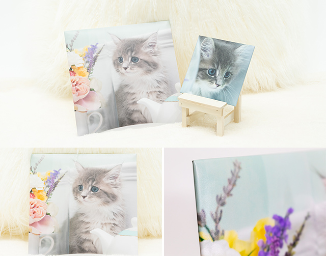 フォトジャケット