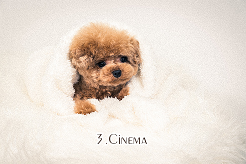 3.Cinema