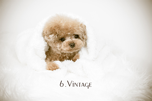 6.Vintage