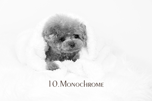 10.Monochrome